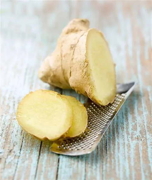 рыжая деталь