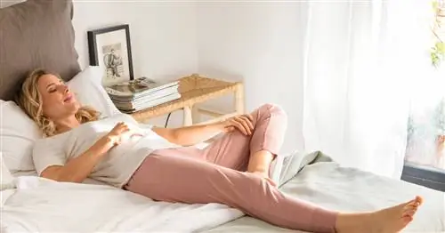 10 лекарственных растений, облегчающих менструальные боли