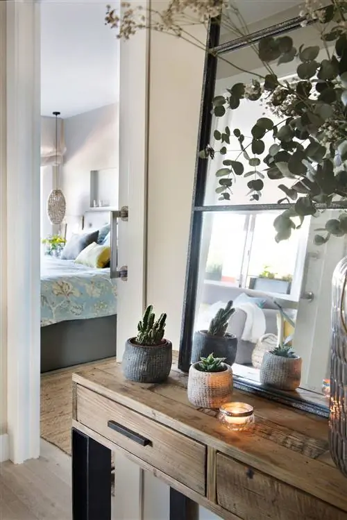 Консоль украшена кактусом.