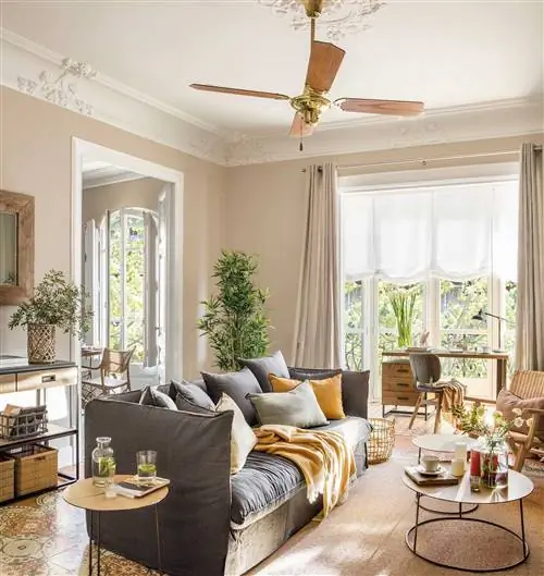 Классическая гостиная с коричневым диваном и потолочным вентилятором 00543454