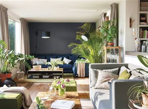 Гостиная со стеной, выкрашенной в темно-синий цвет, и диваном того же цвета на этой стене.