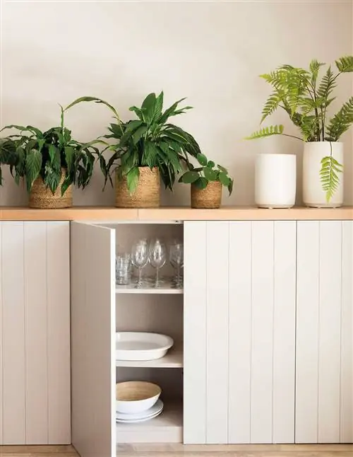 Деталь шкафа для посуды в гостиной.