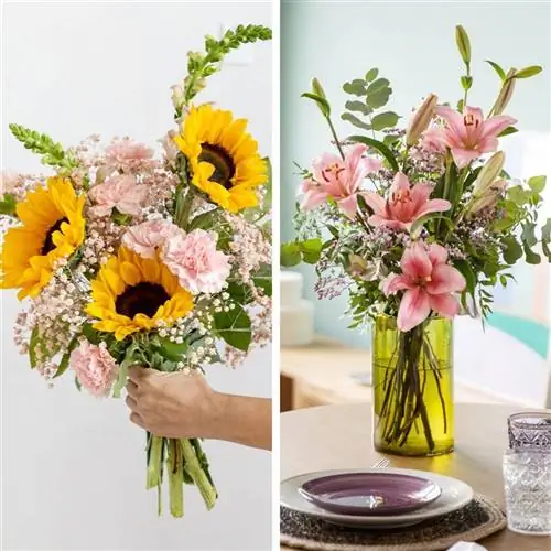 Колвин Рамос сентябрь