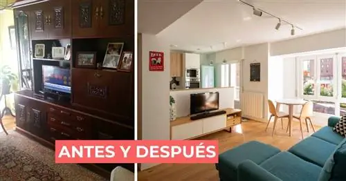 До и после: Небольшая старомодная квартира площадью 55 м2, которая теперь является стильной современной квартирой (с планом этажа)