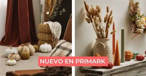Встречайте осень с веселой и элегантной коллекцией от Primark Home