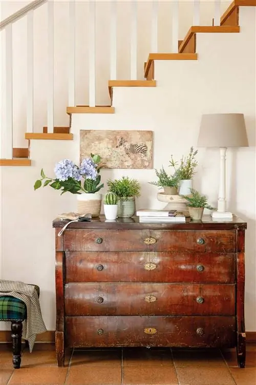 Вестибюль с темным деревянным комодом, украшенным настольной лампой и растениями