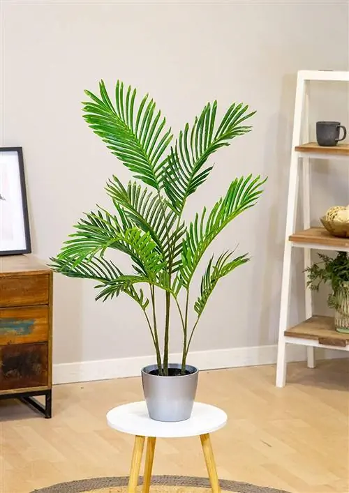 Искусственная пальма Амазонка.