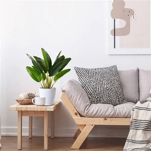 Амазонка искусственная райская птица.