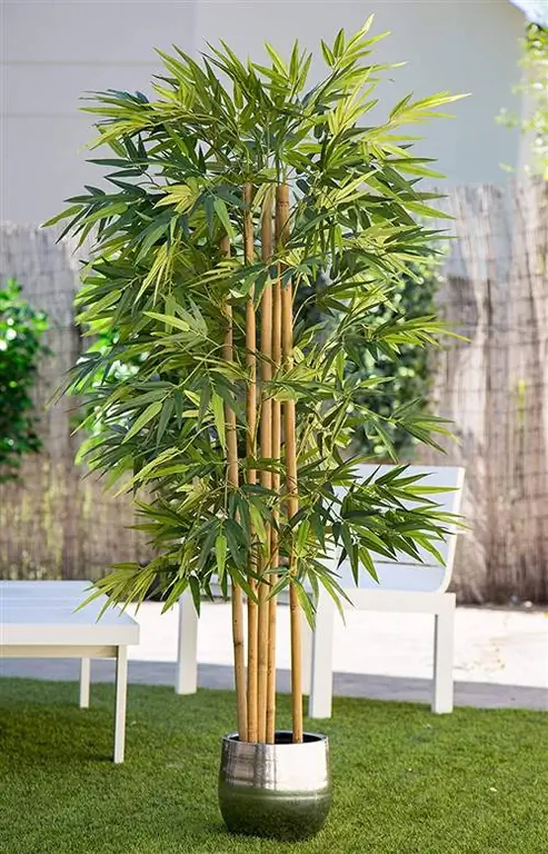 Амазонское бамбуковое искусственное растение.