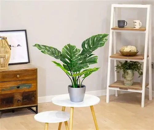 Искусственная монстера от Amazon.