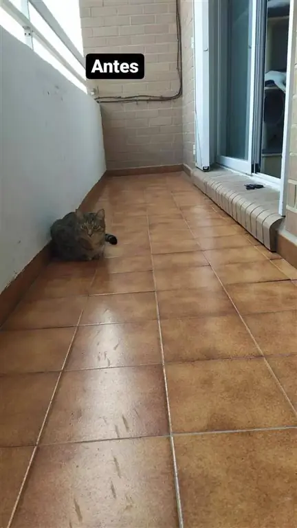 Терраса с коричневым полом.
