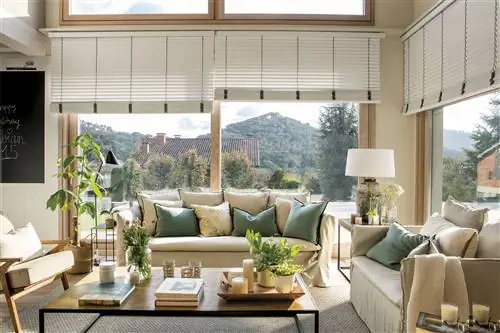 Гостиная с диванами, жалюзи и большими окнами