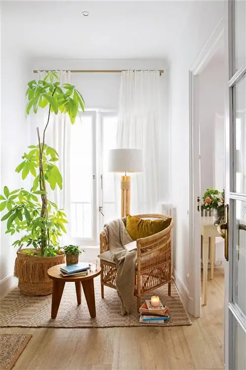 Уголок для чтения с плетеным креслом, деревянным столом и растением XL в горшке из натурального волокна.