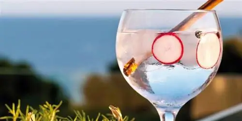 Идеальный джин-тоник