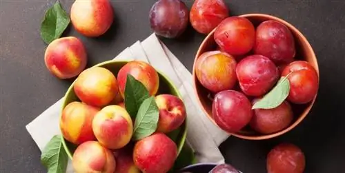 10 продуктов, которые заботятся о вашем сердце