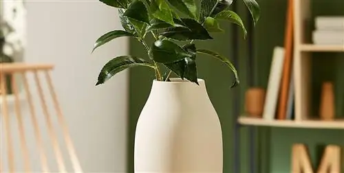 20 Красивые вазы для создания оригинальных композиций