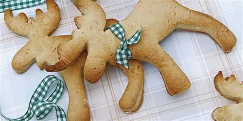 Рецепт дня: Рождественское печенье