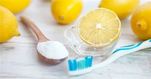 бикарбонат натрия как натуральная зубная паста