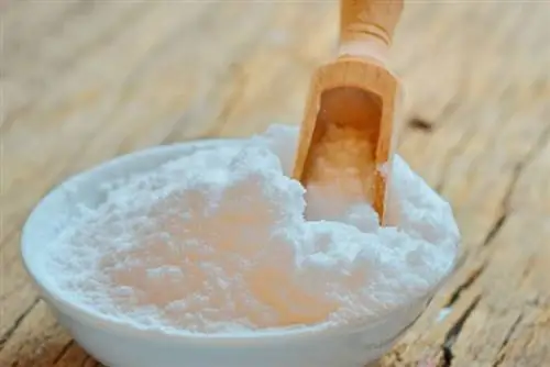 Пищевая сода - волшебное средство для уборки, приготовления пищи и красоты