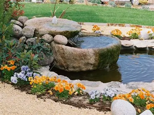 Растение, Вода, Сад, Цветок, Характеристики воды, Лепесток, Кустарник, Почвопокровное, Весна, Пруд,