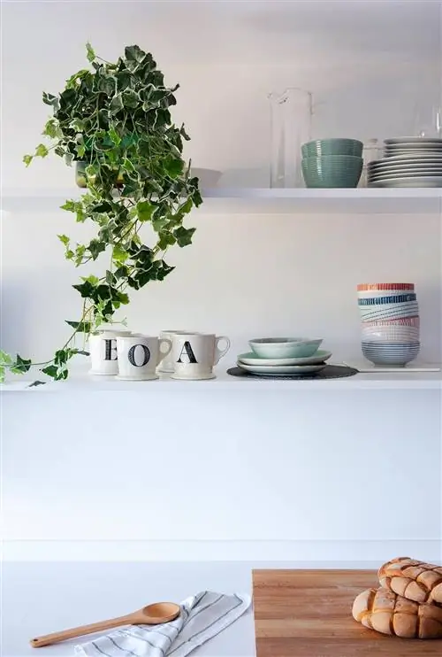 кухонные полки с посудой в поле зрения