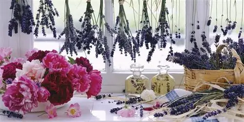 Как сделать так, чтобы в доме пахло лучше! Советы и приемы