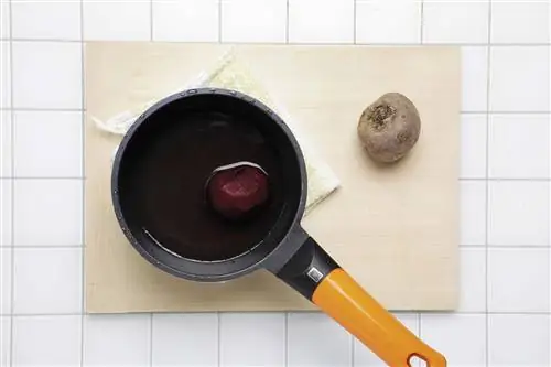 салат из ростков, свеклы, редиски и лука 1