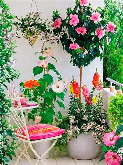 небольшая терраса с растениями и цветами