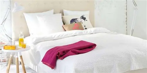 Где рождаются мечты?