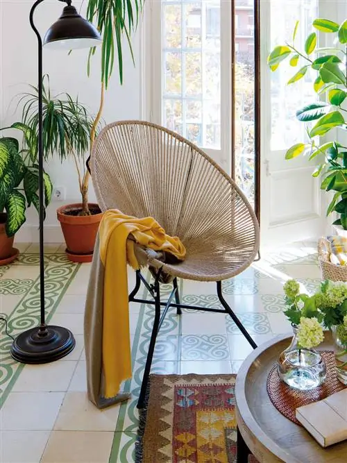 Цветочный горшок, Стол, Лиственных пород, Дизайн интерьера, Комнатное растение, Мебель для улицы, Журнальный столик, Аксессуары для дома, Тарелка, Подлокотник,