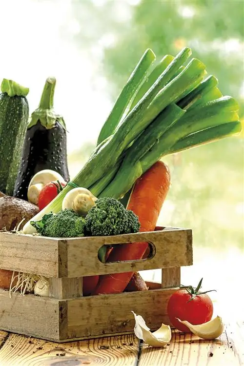 ящик для овощей