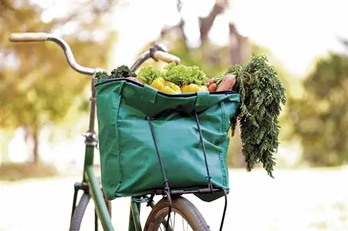 велосипед с мешком овощей