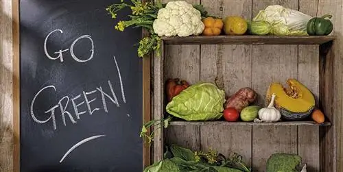 Каким должно быть устойчивое и здоровое питание