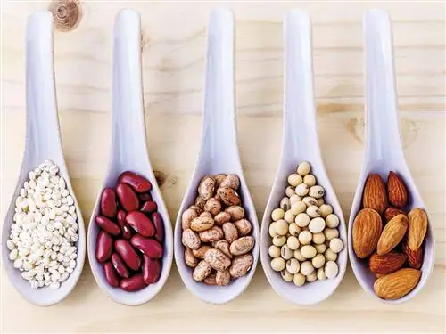 ОВОЩИ И СУХОФРУКТЫ