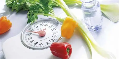 Как правильно питаться и не голодать?