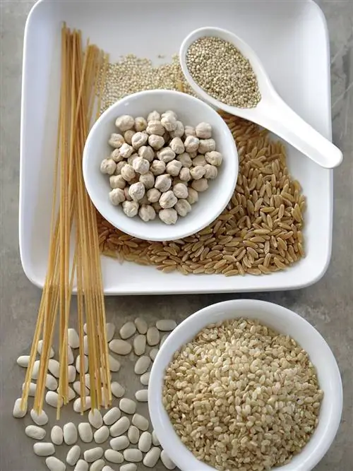 Углеводы: чистая энергия