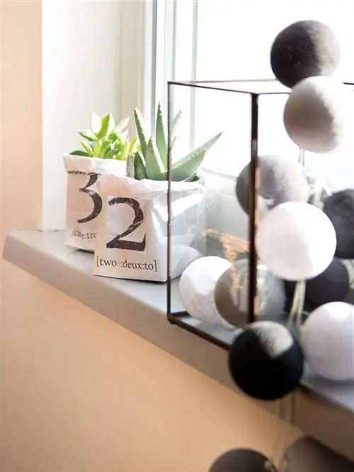 Коллекция, Натюрморт, Сфера, Стеллаж, Трава,