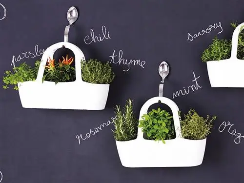 подвесной горшок для трав