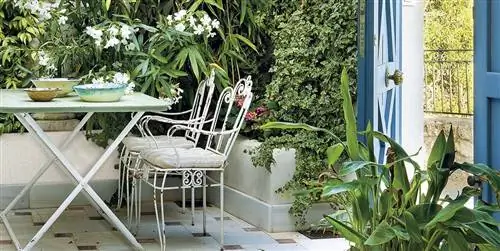 Это основной уход за вашими растениями перед летом