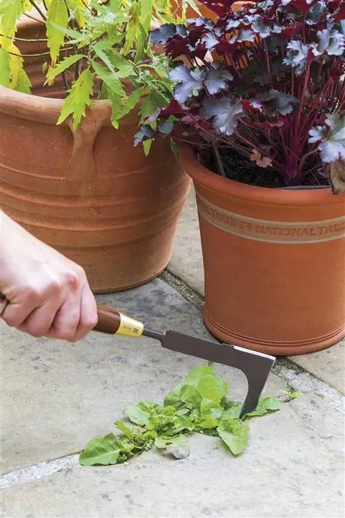 фирменный садовый нож Burgon Ball