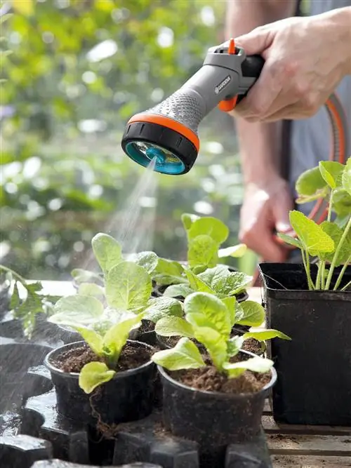 комфортный распылитель