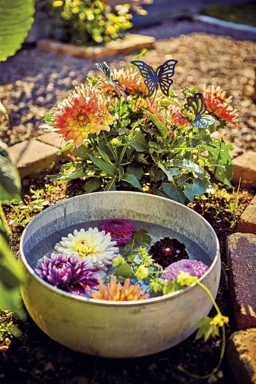 чаша с водой и цветами в саду