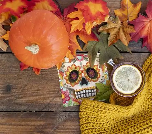 Подставка под череп на хэллоуин Катрина от tenstickers