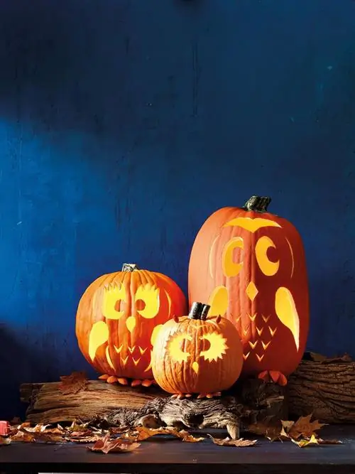 Хэллоуин украшаем тыквы мордочками сов