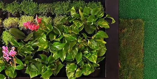 Как создать и спроектировать вертикальный сад дома