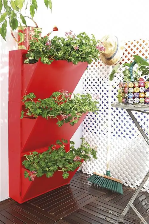 вертикальный сад из переработанной полки для обуви