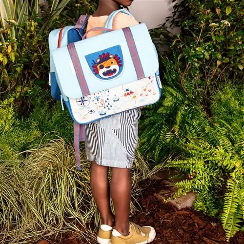 детский рюкзак с пиратским львом