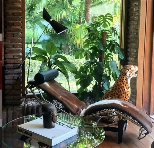 зона для чтения в доме бибианы фернандес