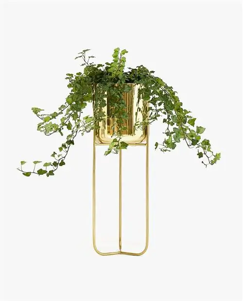 золотой цветочный горшок