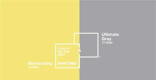 Лучший цвет Pantone 2021 года - серый и сияющий